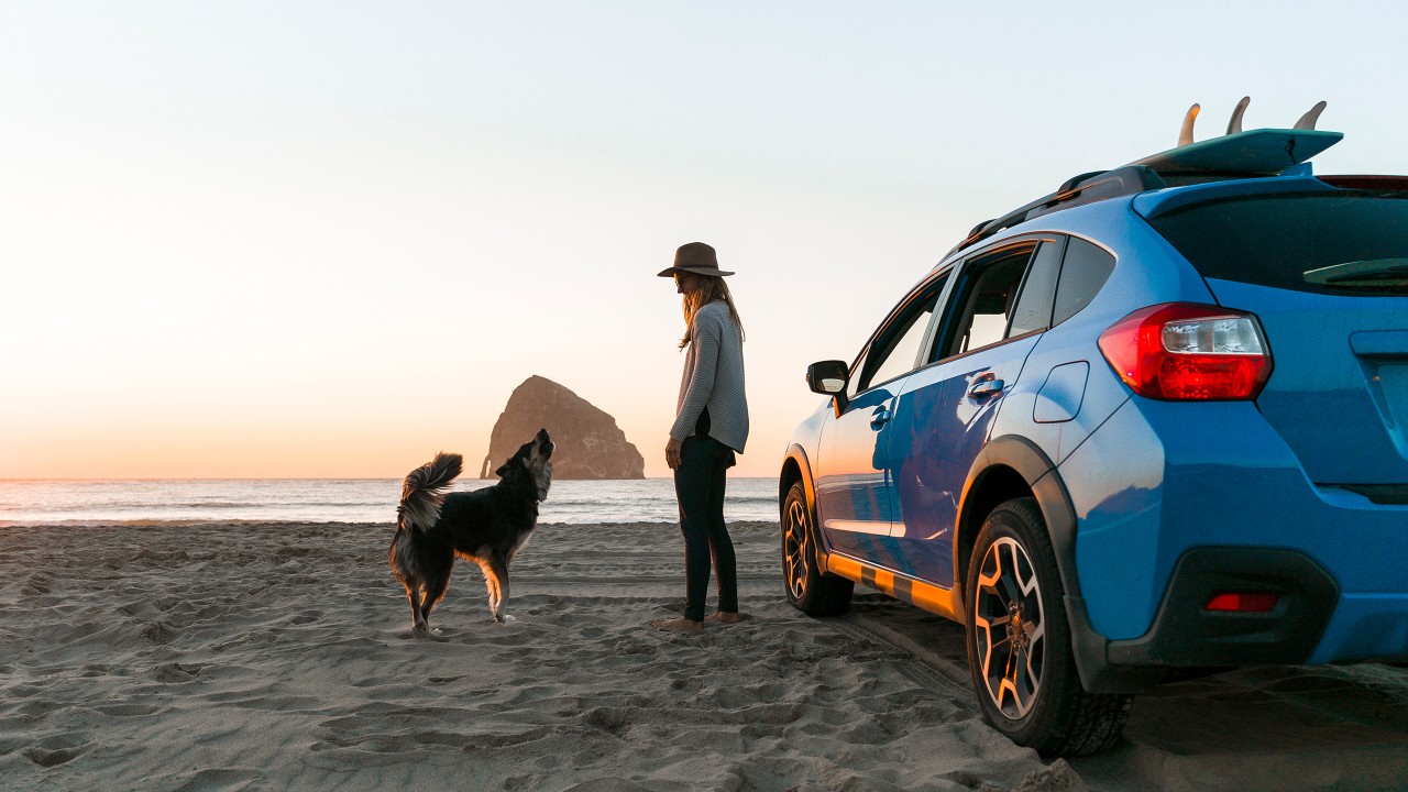 A woman at the beach with a dog and a car; image used for HSBC loans.